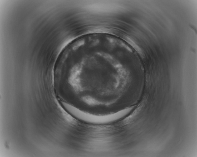 X0000097510988200803142037