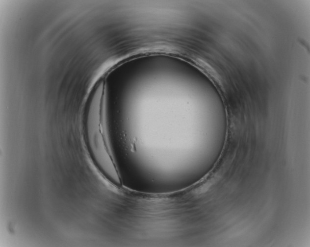 X0000097510989200803142037