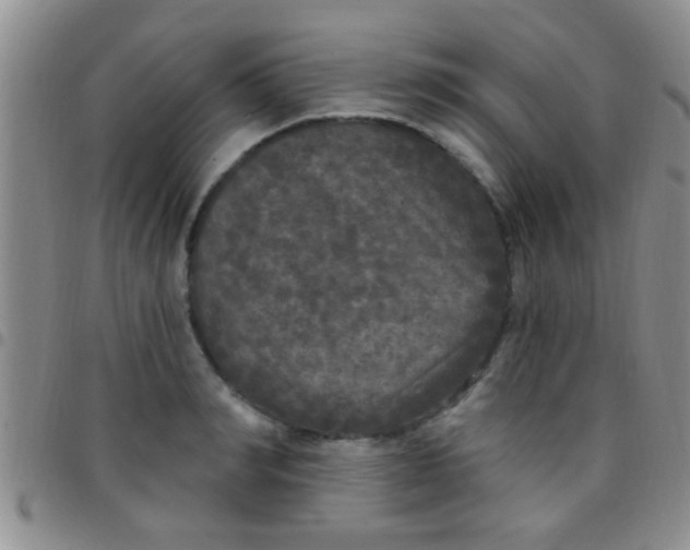 X0000097510990200803142037