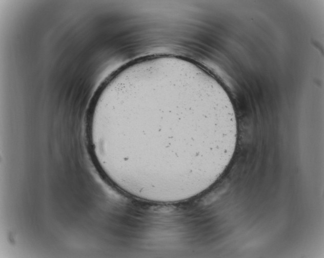 X0000097510991200803142037