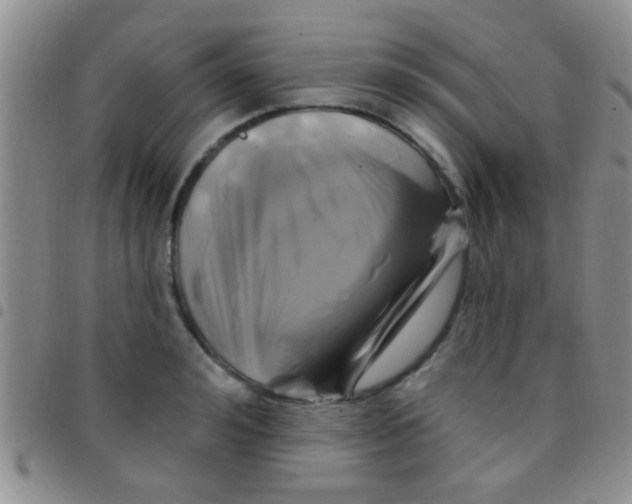 X0000097510992200803142037