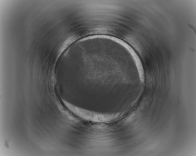 X0000097510994200803142037