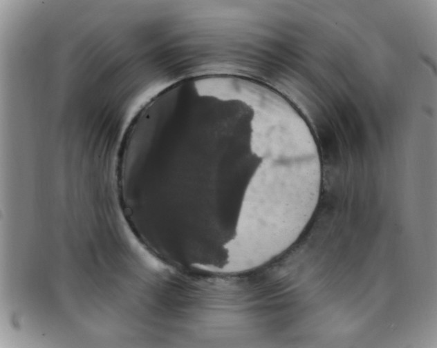 X0000097510995200803142037