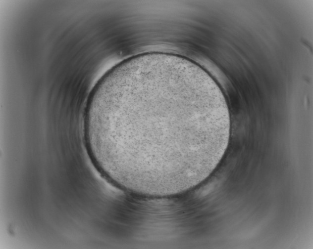 X0000097510999200803142037