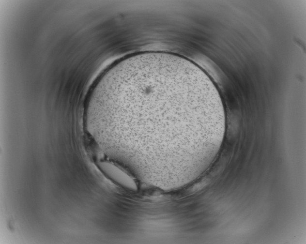 X0000097511000200803142037