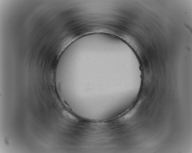 X0000097511001200803142037