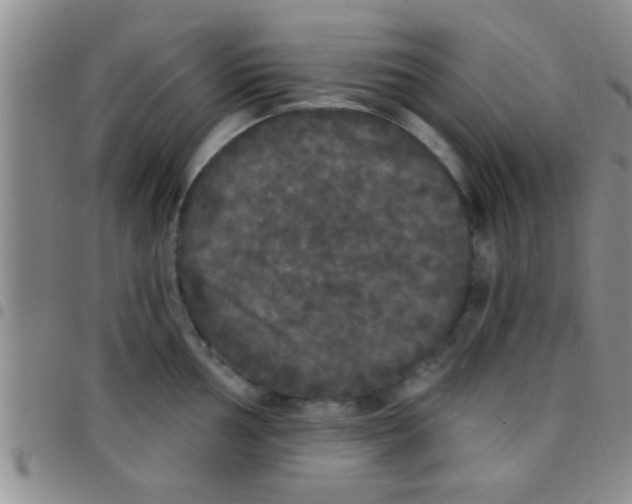 X0000097511002200803142037