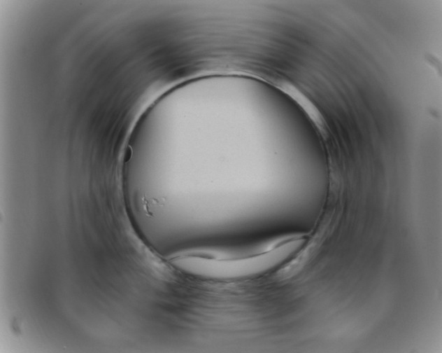 X0000097511004200803142037