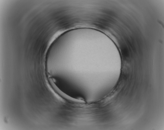 X0000097511005200803142037