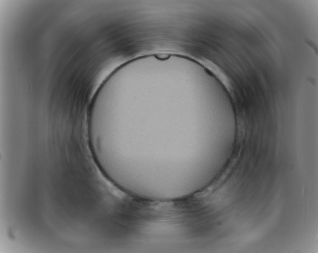 X0000097511006200803142037