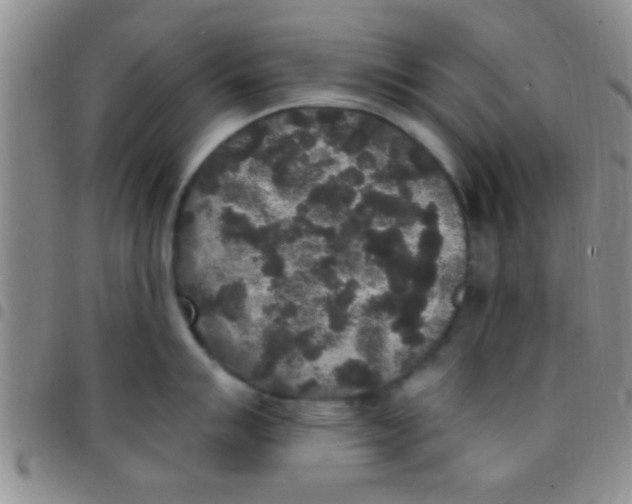 X0000097511007200803142037