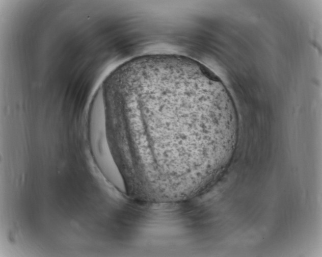 X0000097511008200803142037