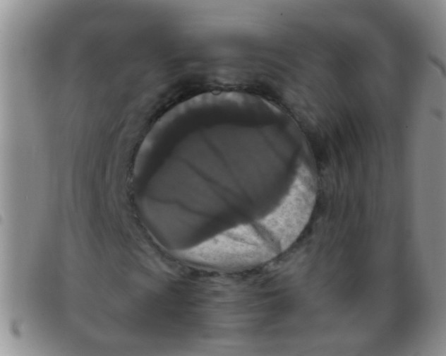 X0000097511009200803142036