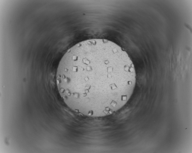 X0000097511010200803142036