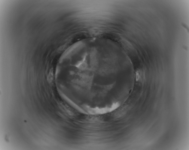 X0000097511011200803142036