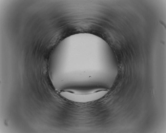 X0000097511012200803142036