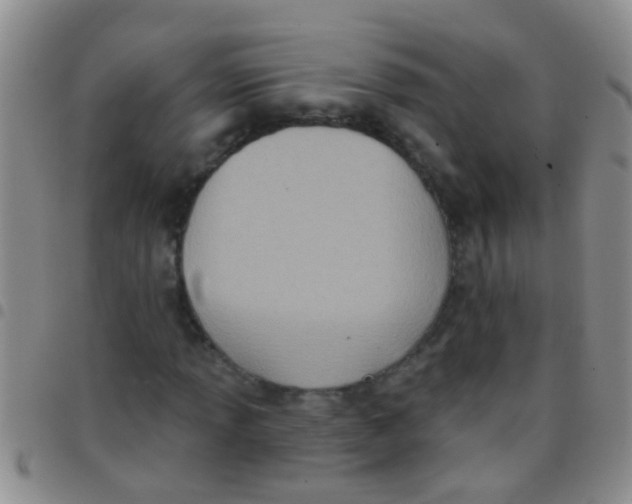 X0000097511013200803142036