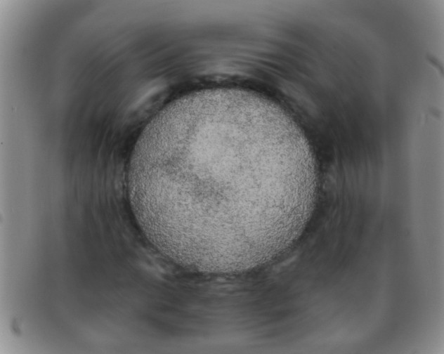 X0000097511014200803142036