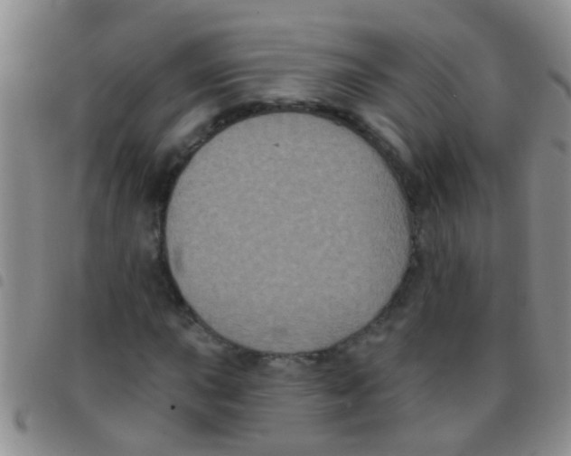 X0000097511015200803142036