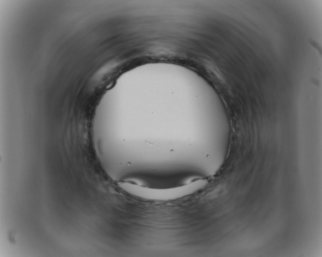 X0000097511016200803142036