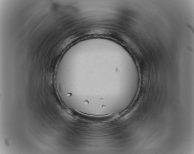 X0000097511017200803142036