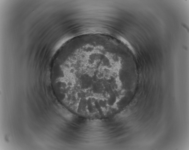 X0000097511019200803142036