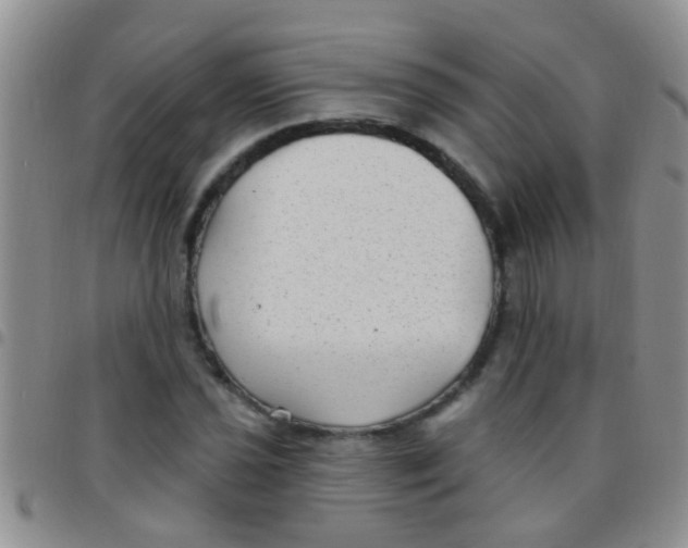 X0000097511021200803142036