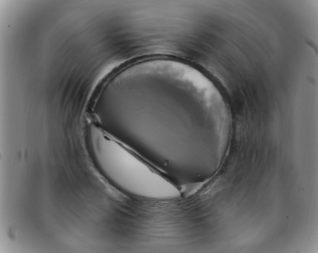 X0000097511024200803142036