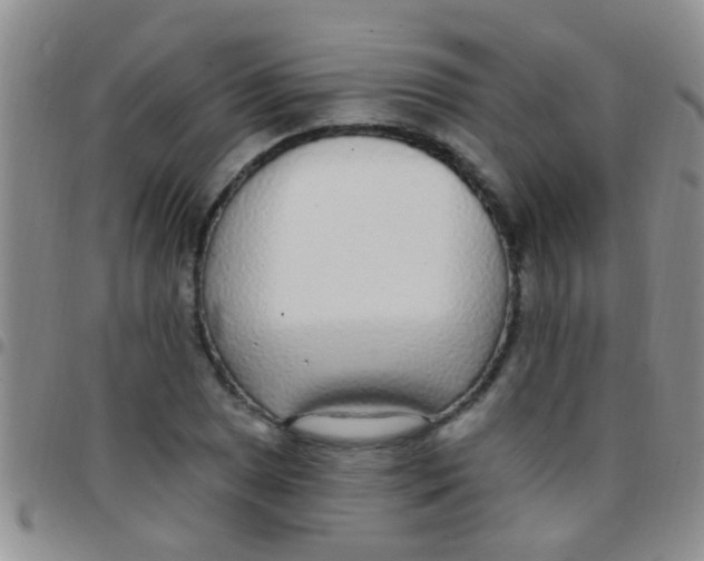 X0000097511025200803142036