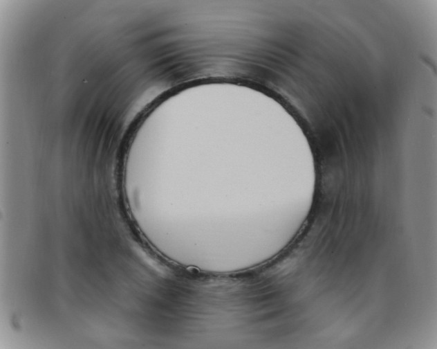 X0000097511026200803142036