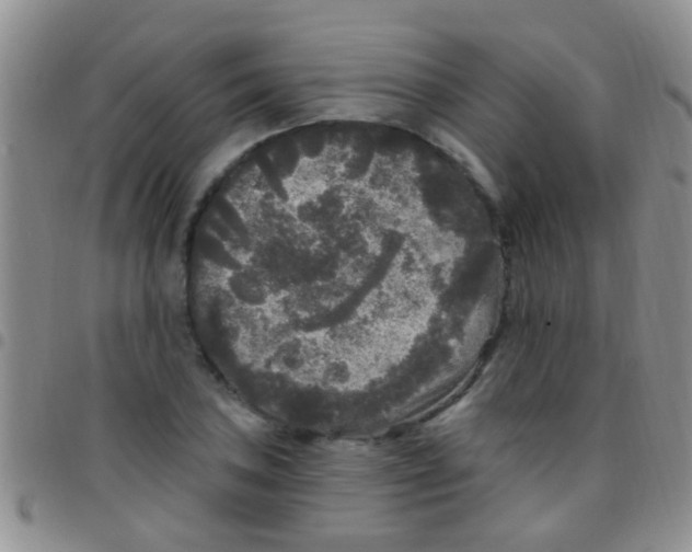 X0000097511027200803142036