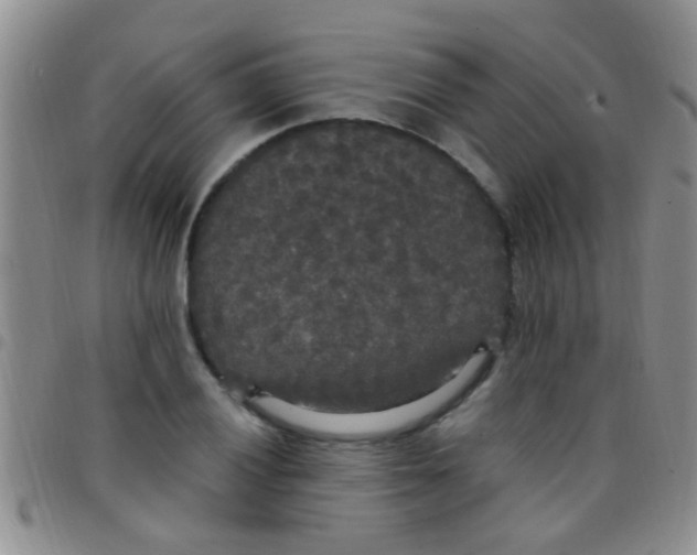 X0000097511028200803142036