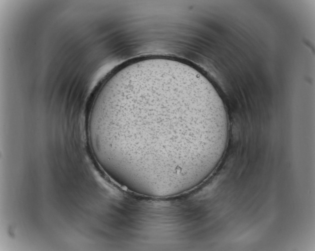 X0000097511030200803142036