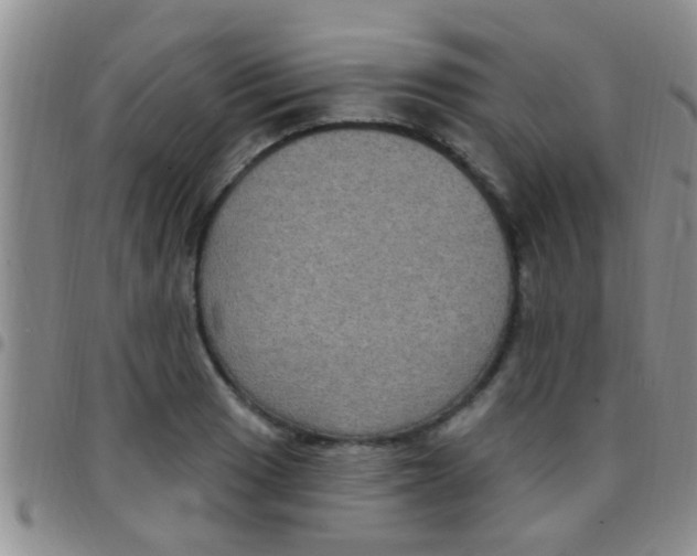 X0000097511033200803142036