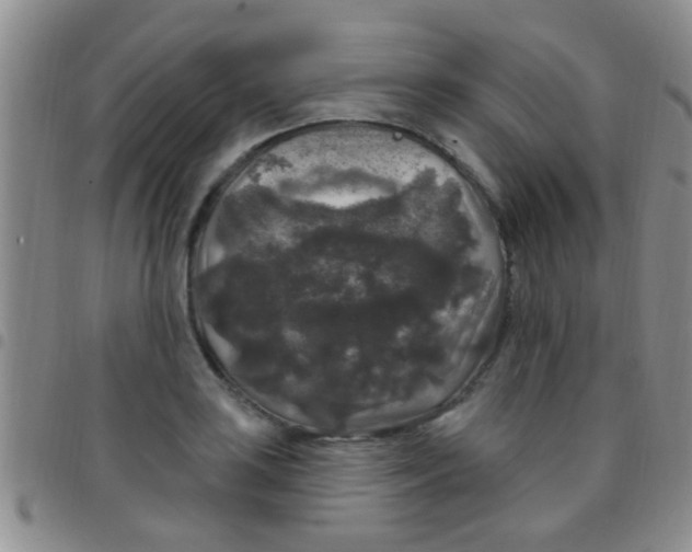 X0000097511035200803142036