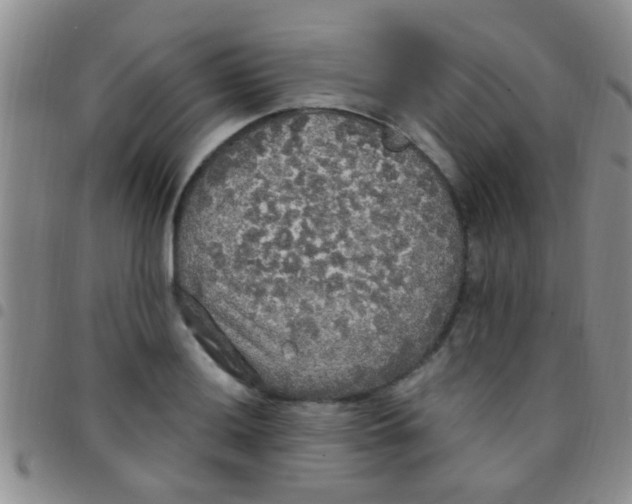 X0000097511036200803142036