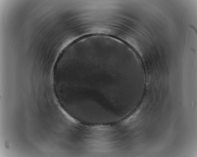 X0000097511037200803142036