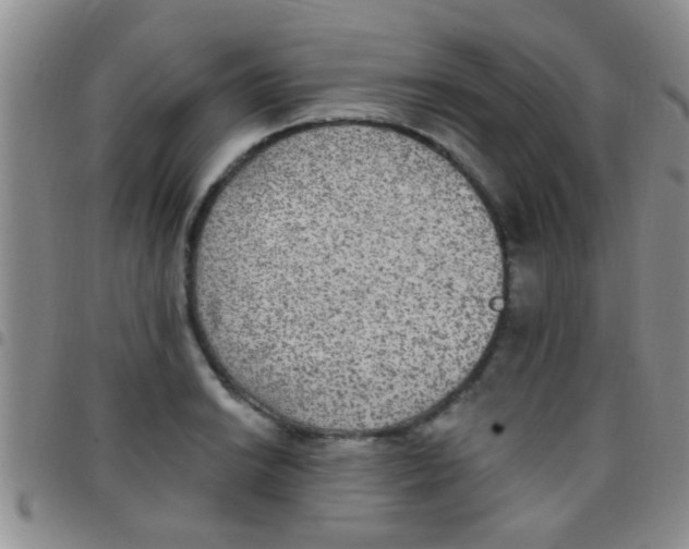 X0000097511038200803142036