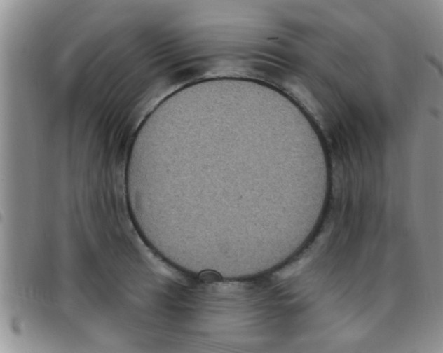 X0000097511041200803142036