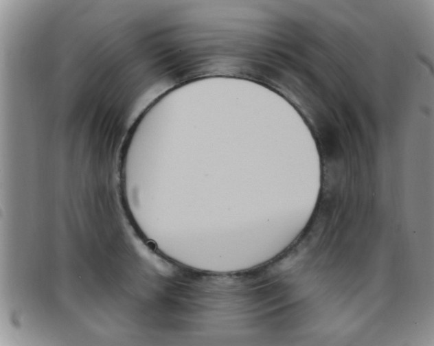 X0000097511042200803142036