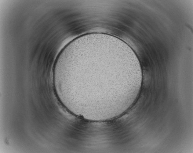 X0000097511044200803142036