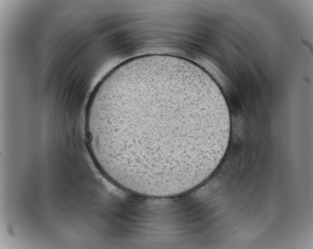 X0000097511046200803142037