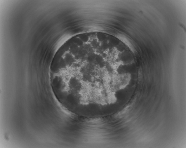 X0000097511047200803142037