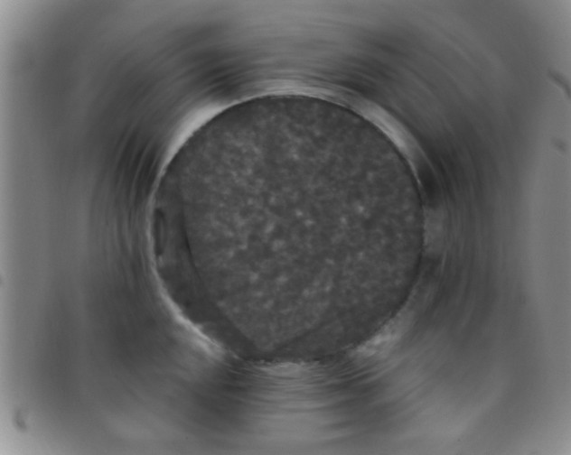 X0000097511048200803142037