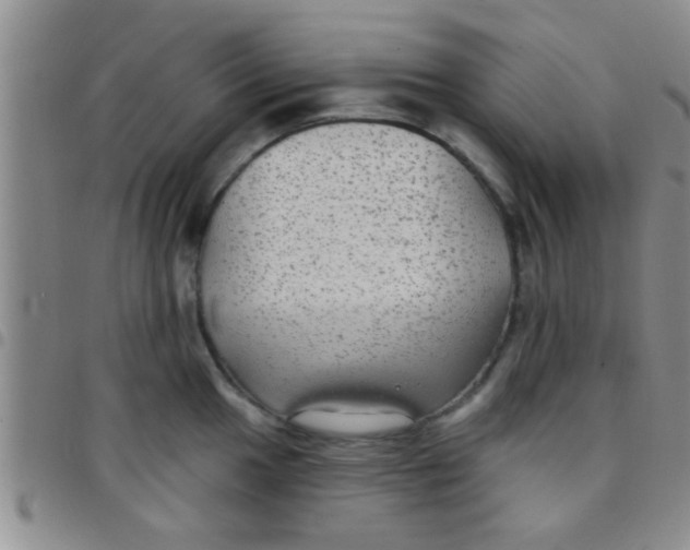 X0000097511049200803142037