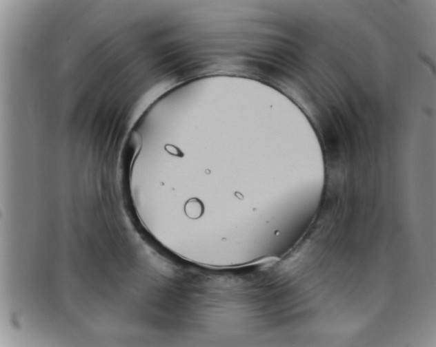 X0000097511050200803142037