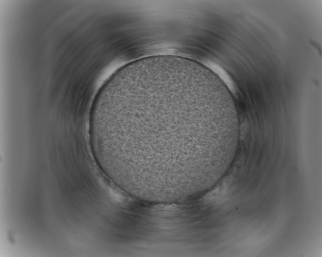 X0000097511051200803142037