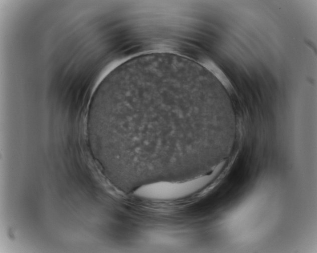 X0000097511052200803142037