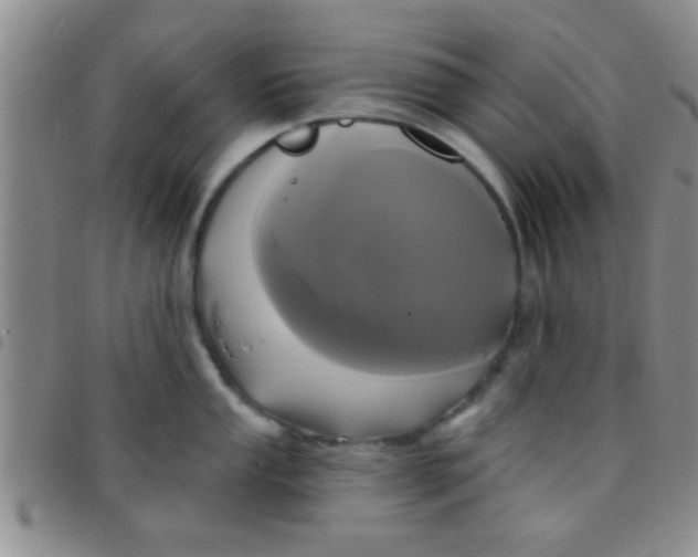 X0000097511053200803142037