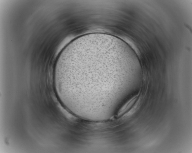 X0000097511054200803142037